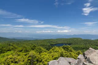 白駒池