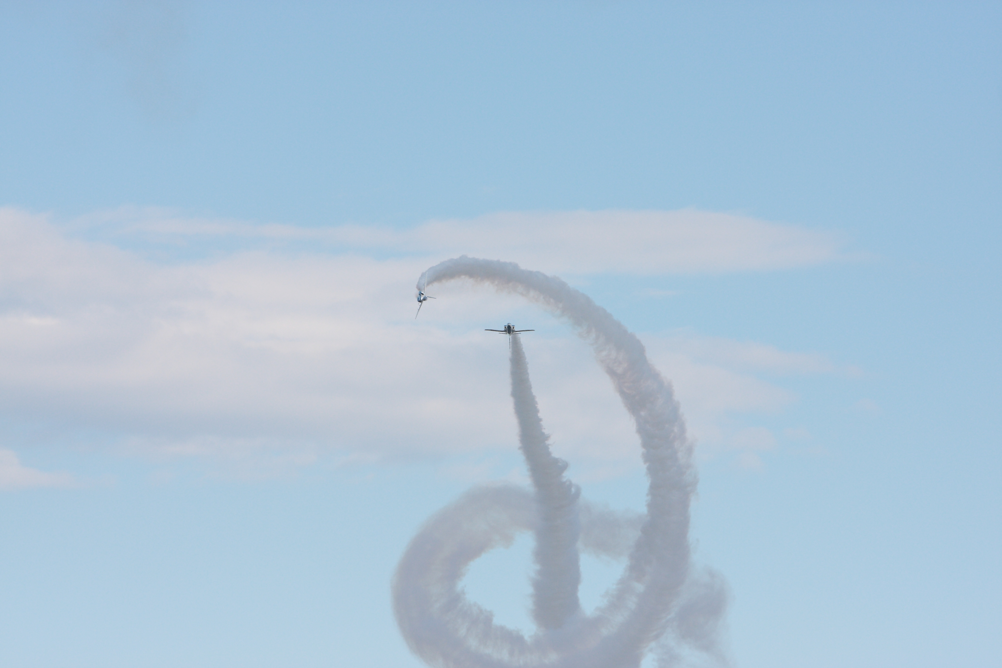 IMG_2104.JPG(1732 Kbyte)