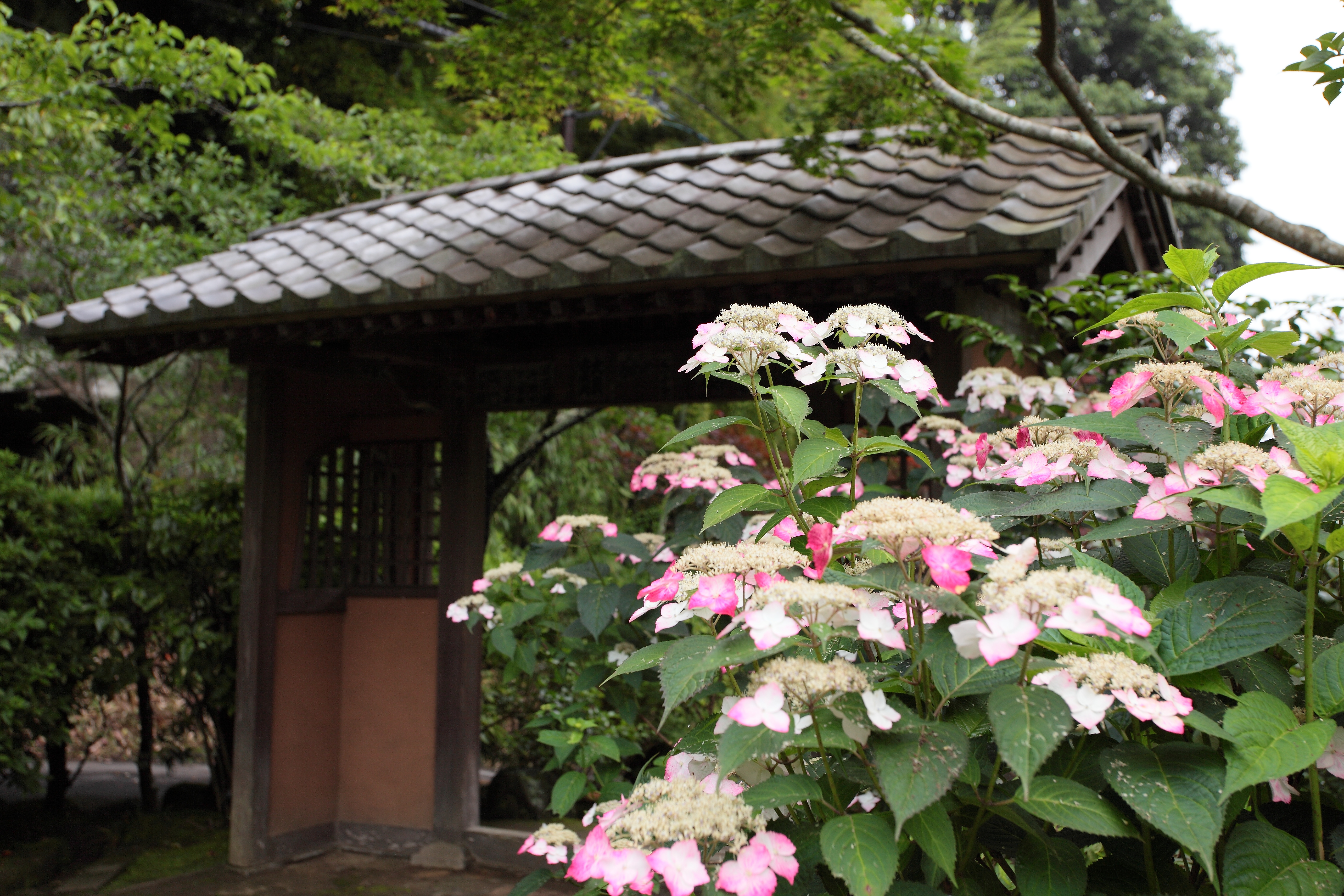 IMG_1398.JPG(6928 Kbyte)
