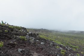 登山者の列