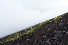 少しずつ空が明るく