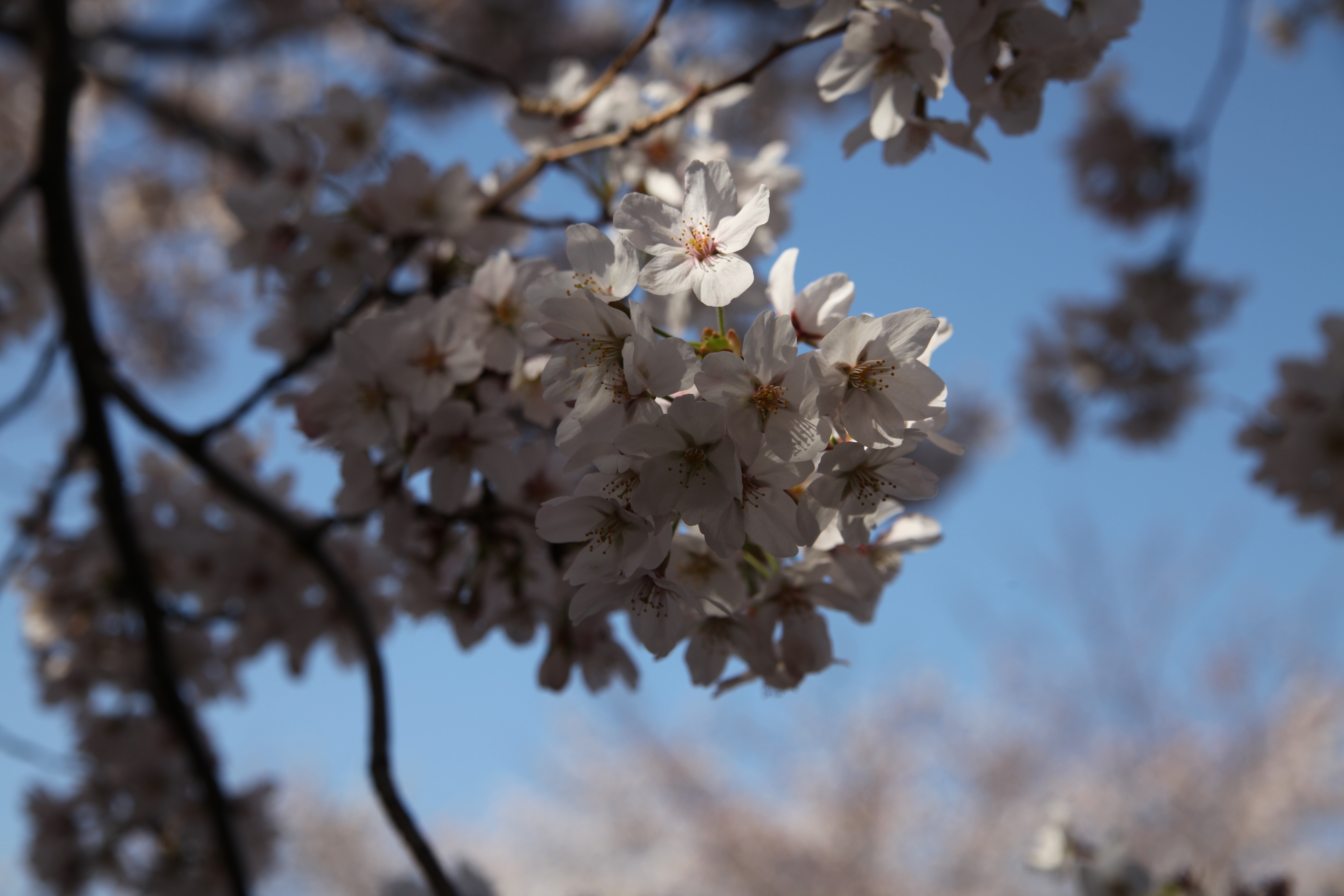 IMG_2103.JPG(4265 Kbyte)