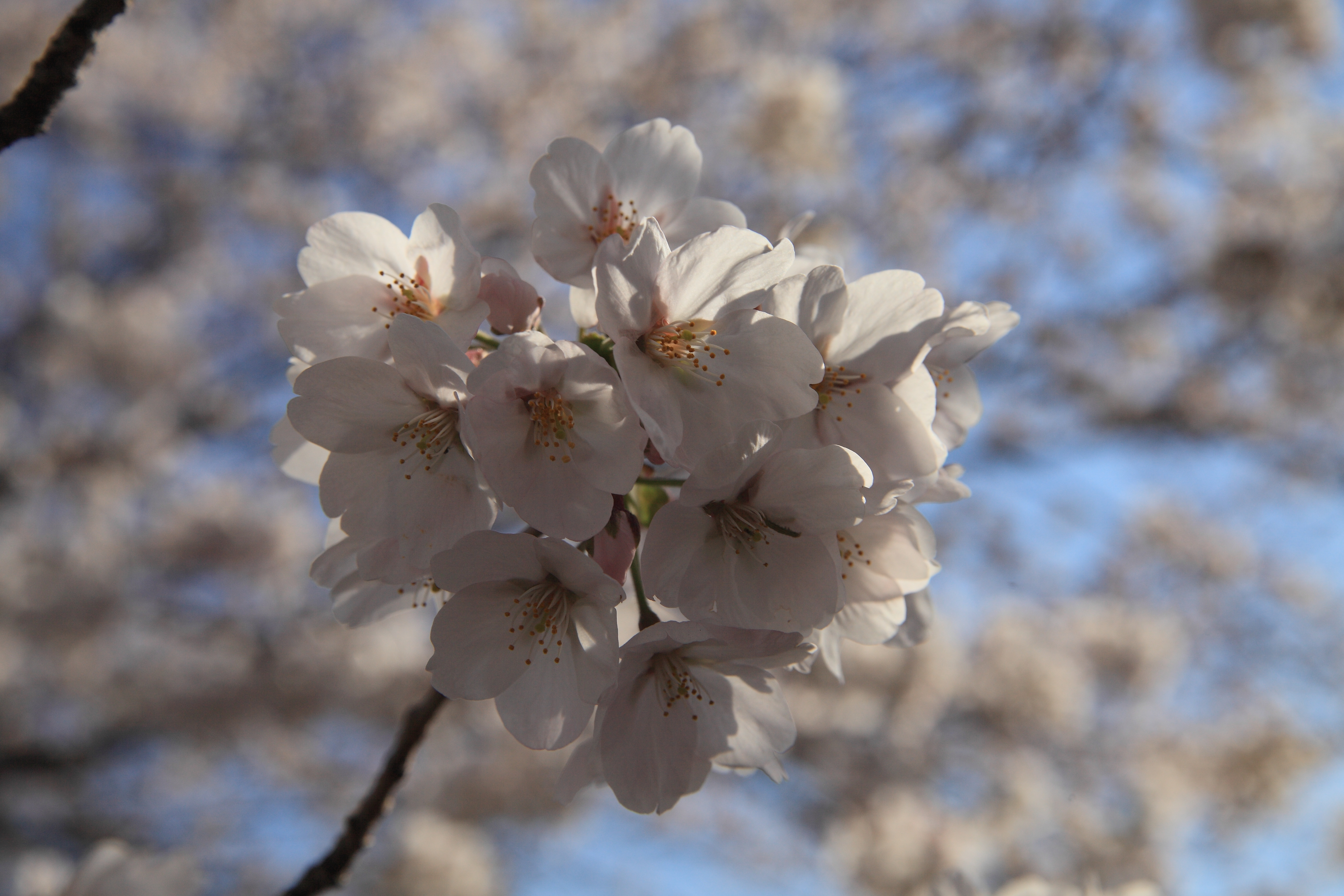 IMG_2112.JPG(5849 Kbyte)
