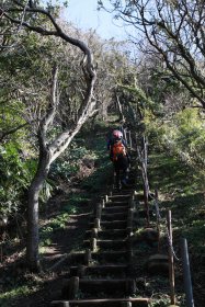 約250段の階段