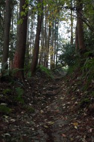 二子山自然遊歩道