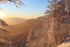 天狗岳へ向けて登山中の朝日