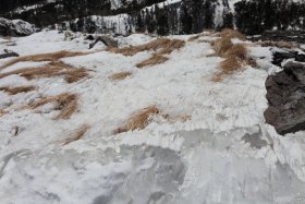 稜線上の地表を吹き付ける風の痕跡