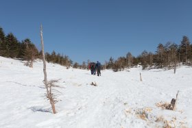 縞枯山の登山口へ向けて