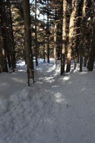 縞枯山の山頂へ続く登山道