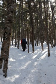 縞枯山の山頂へ向けて登山中