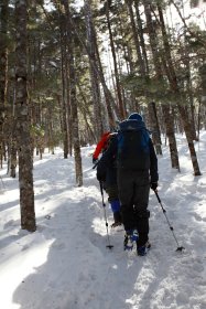 縞枯山の山頂へ向けてまだ登山中