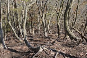 つづら折りの登山道