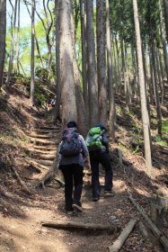 岩茸石山頂上手前