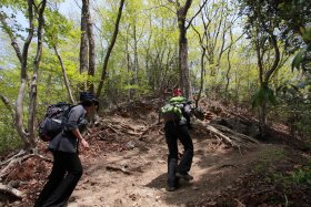 岩茸石山頂上手前