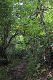 一ノ沢登山道 2