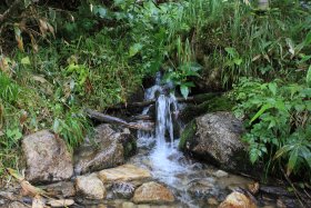 冷たくて綺麗な沢の水