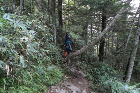 一ノ沢登山道 10