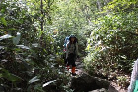 一ノ沢登山道 12