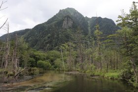 上高地の自然 3