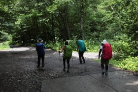 右俣林道を新穂高温泉へ向けて 3