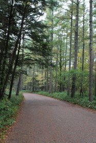 河童橋までの整備された歩道