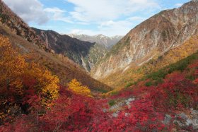 涸沢の紅葉と常念岳