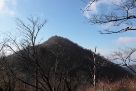 塔ノ岳山頂