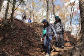 大倉へ向けて下山