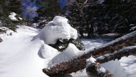 怪獣風な積雪