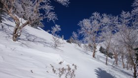 新雪と青空