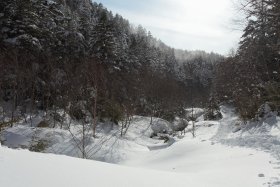 風に舞う粉雪