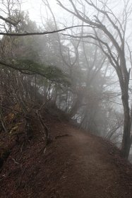 霧雨の登山道