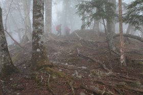 霧雨の中、登山中