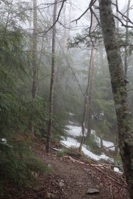 登山道に残る残雪