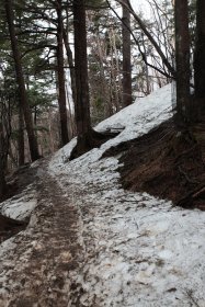 残雪に覆われた登山道