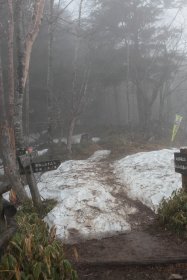 雲取山へ向けて