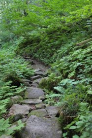 石畳の登山道