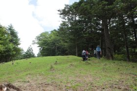 開けた登山道