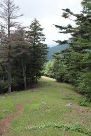 開けた登山道