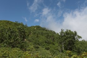 雲上の燕山荘