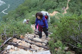 整備された登山道