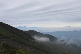 樹林帯を抜けると雲上の世界