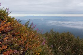 紅葉と花と山々