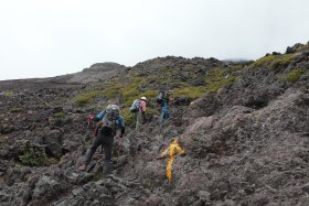 黙々と登山中