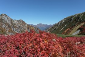 剱沢の紅葉