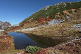 池に映る紅葉