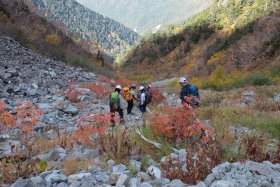 紅葉の中を下山