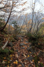 紅葉の中の登山道