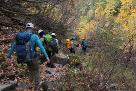 紅葉の中を下山