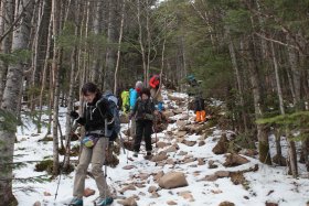 茶臼山の北東斜面の下り